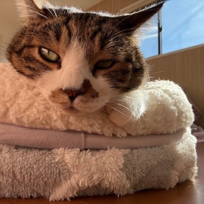 S5892337418634's profile picture