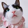 Фото профиля あんあん