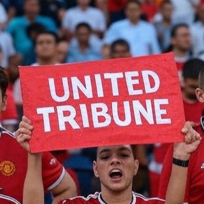 The United Tribune's profile picture