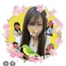 Фото профиля はっぴー🍀みつばっち🐝☪🐕🦺𓃗 🧶🌸🌟🌟🌟🍓