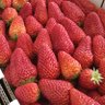 大場ひろみ 的头像
