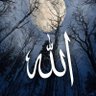 Ali Ahmed's profile picture