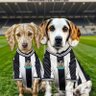 Craig Shield's profile picture