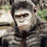 MoviesThatMaher's profile picture