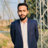 Raja Tayyab's profile picture
