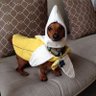 Profilbild von magussd2