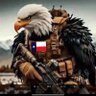 baldeagle454 profil fotoğrafı