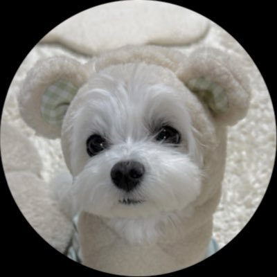 ⋆⸜ ポッケちゃん ⸝⋆'s profile picture