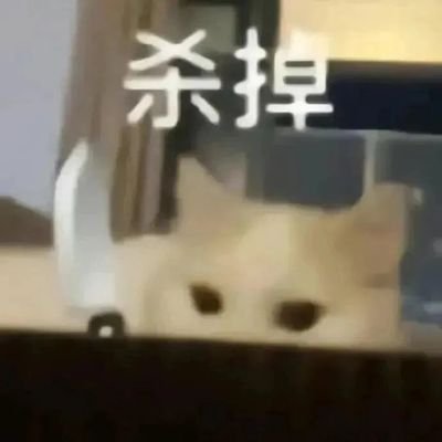 shui0701's profile picture