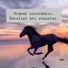 🇹🇷YOLUMUZ HAK🇹🇷's profile picture