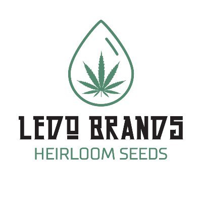 ledobrands's profile picture