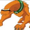 mert's profile picture
