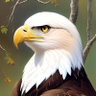 moslh kedr's profile picture