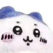 moolnlit's profile picture