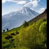 خليل ابو العبد profil fotoğrafı