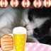 亜希子🐾🐾🏇🍻🍺 profil fotoğrafı