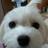 おぽ's profile picture