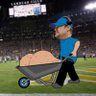 Dan Campbell 的头像