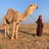 عبــدالله بن صـلف 的头像