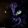 DWG's profile picture