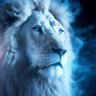 lilu profil fotoğrafı