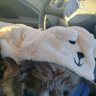 Wearysoles's profile picture