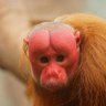 Groteiromaloka profil fotoğrafı