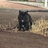 海野 亀 的头像