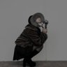 Фото профиля いーはる