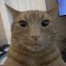 Profilbild von Ben