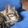JennyPenny's profile picture