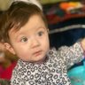 Saifullah Sadiq's profile picture