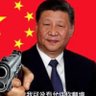 Фото профиля 反差习近平-(重生)🎌