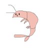 Krill🧈 的头像