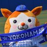 みっさん🎌's profile picture