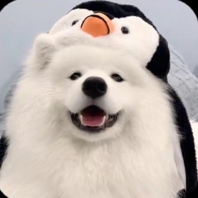 Tkerwz's profile picture