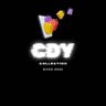 Cdy Collections's profile picture
