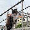 Ragnar profil fotoğrafı