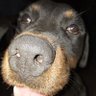 joãohigh profil fotoğrafı