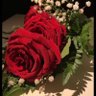 أوركـــيــد ~🌸's profile picture