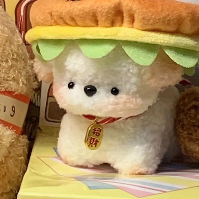 wholly52994's profile picture