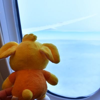 あ~しゃん's profile picture
