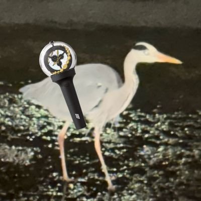 7H퓨🕊🚪's profile picture