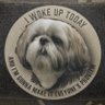 The_Angry_Shih_Tzu 🇺🇸's profile picture