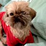 Carol Benningfield's profile picture