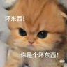 山大留学生 profil fotoğrafı