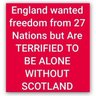 Frank Johnstone's profile picture
