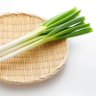 Onion guratan 的头像