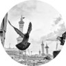 maha's profile picture