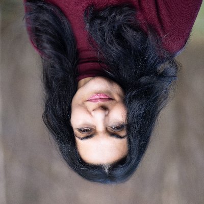 Hilâl Nesin's profile picture